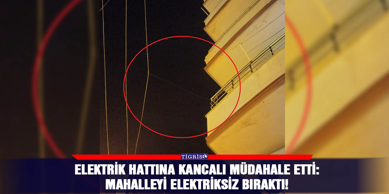 Elektrik Hattına Kancalı müdahale etti:  Mahalleyi Elektriksiz Bıraktı!