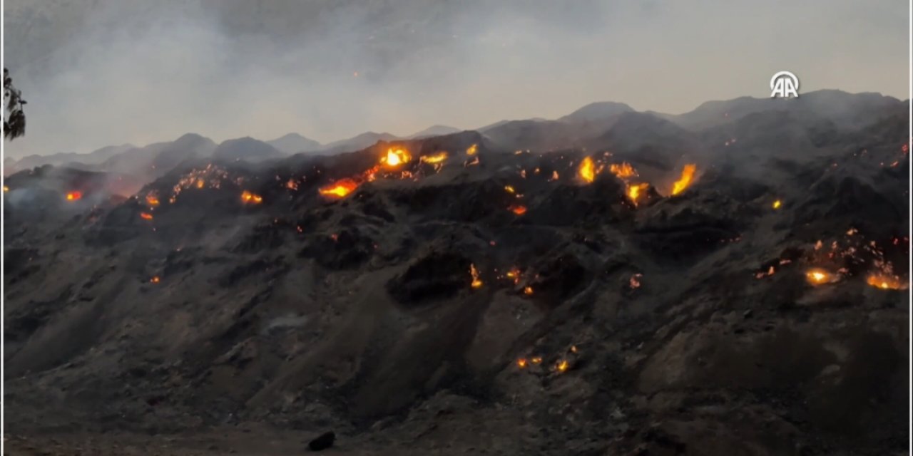 Mersin'de orman yangınları sürüyor