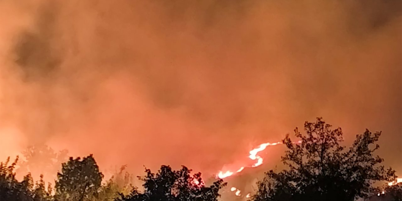 Diyarbakır Lice'de orman yangını