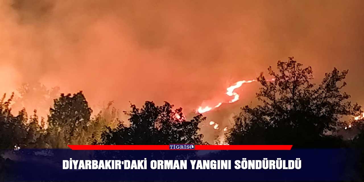 Diyarbakır'daki orman yangını söndürüldü