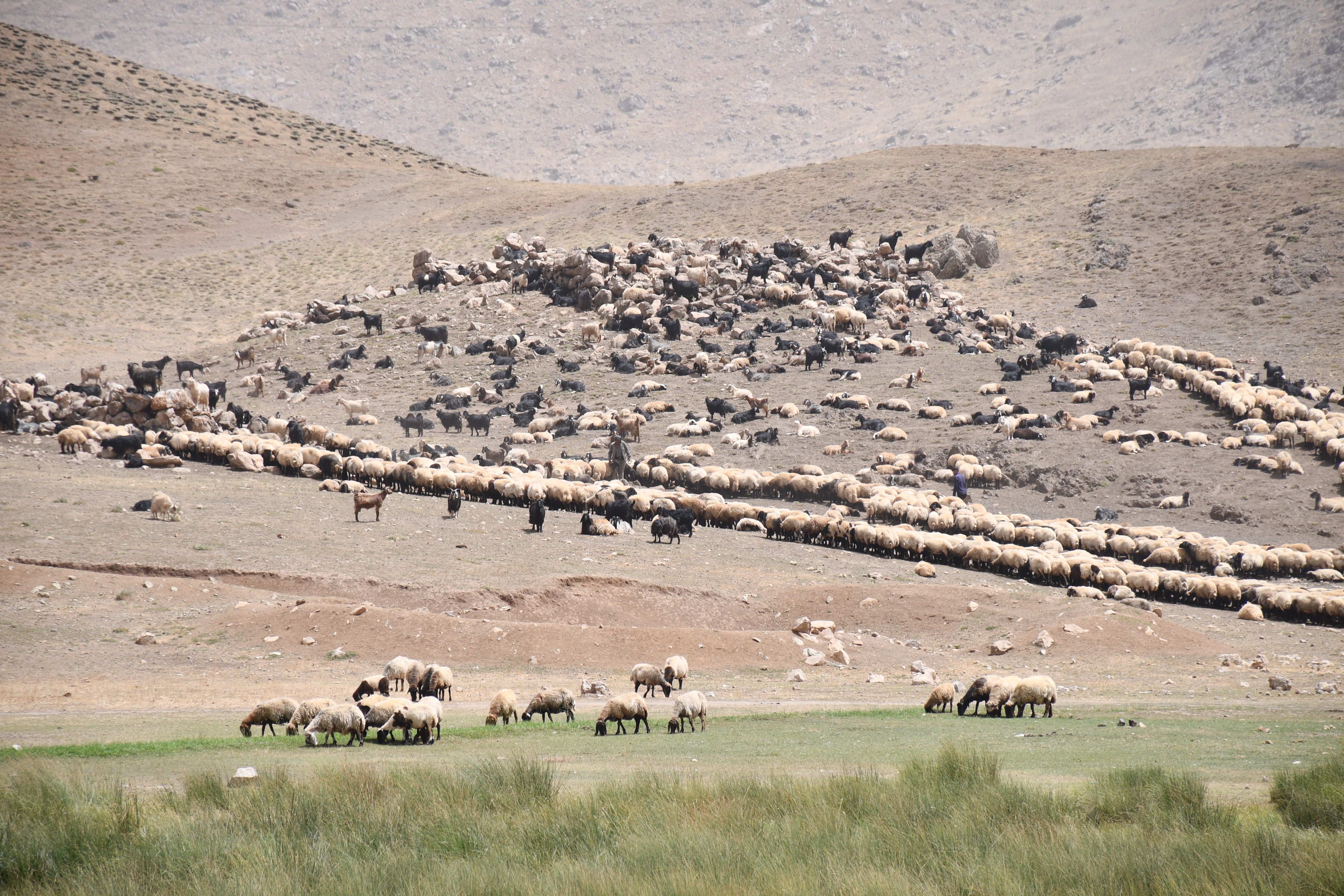Yaylalardan kışlaklara göç başladı