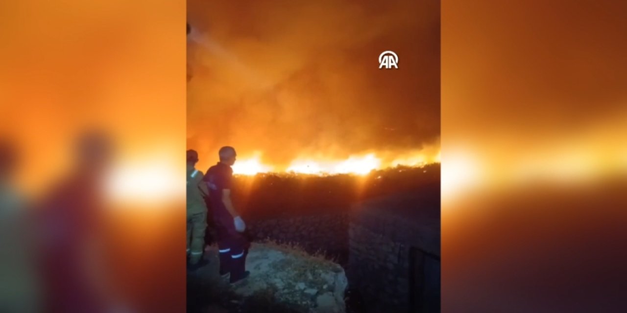 Diyarbakır Lice'de orman yangını: Yerleşim yerlerine yaklaşıyor