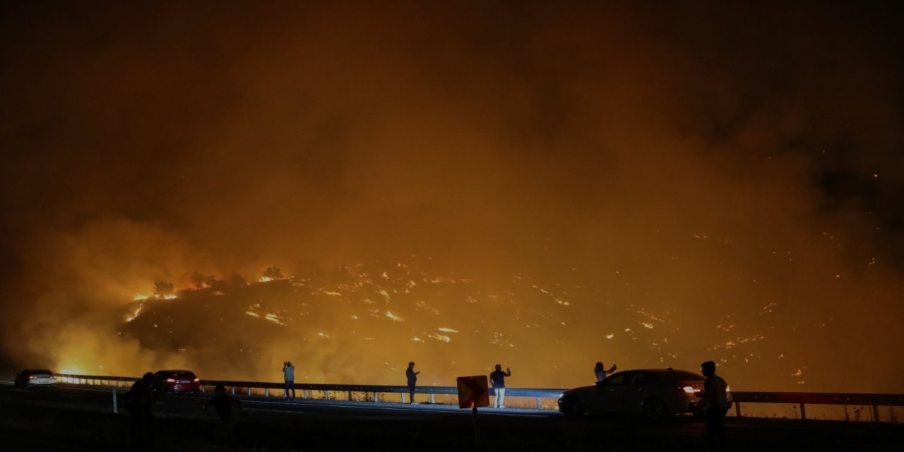 Diyarbakır Valiliği'nden orman yangını açıklaması