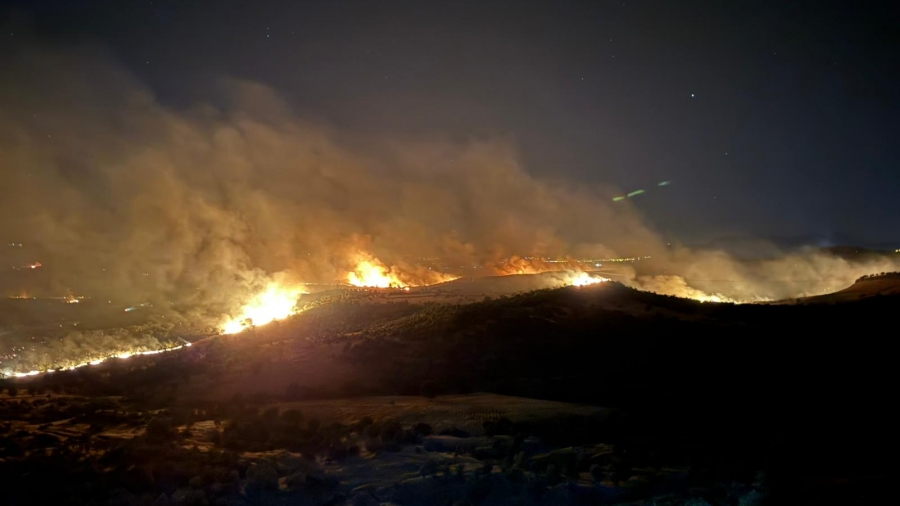 Lice ve Hani’deki yangın söndürüldü