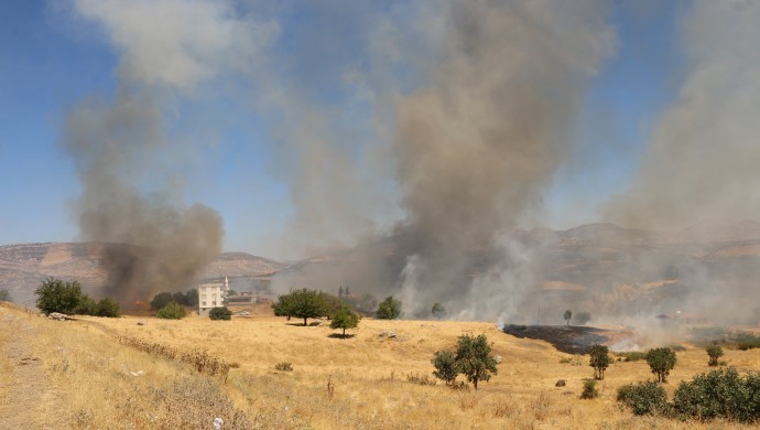 Diyarbakır Lice’de yangın yeniden başladı