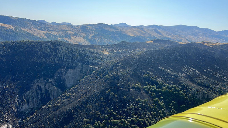 Bakan Yumaklı: 7 ildeki orman yangınları kontrol altına alındı