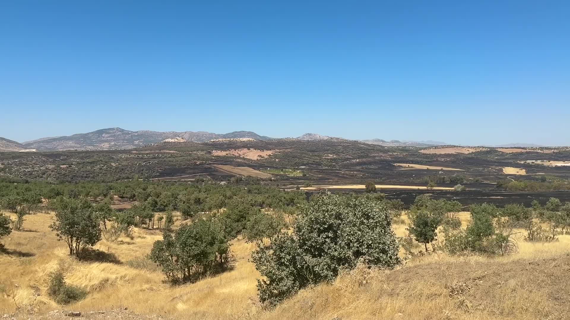 Diyarbakır’daki orman yangınında 230 hektar zarar gördü