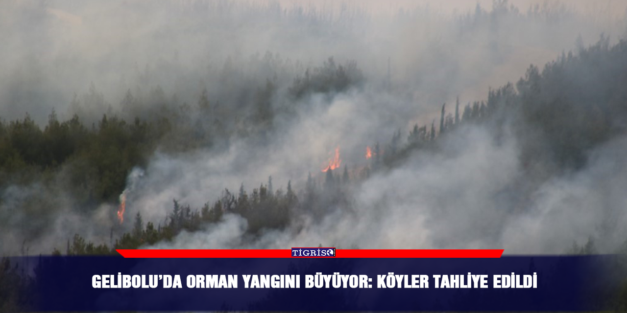 Gelibolu’da orman yangını büyüyor: Köyler tahliye edildi