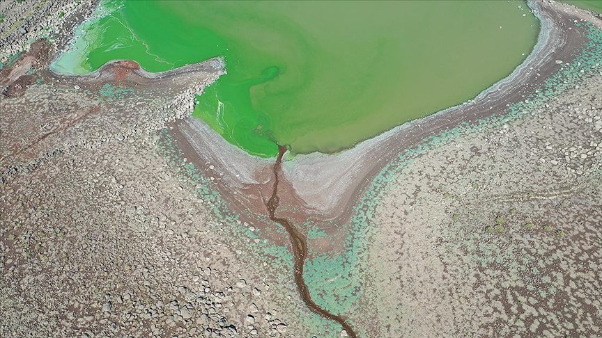 Şanlıurfa'da gölet kurudu!