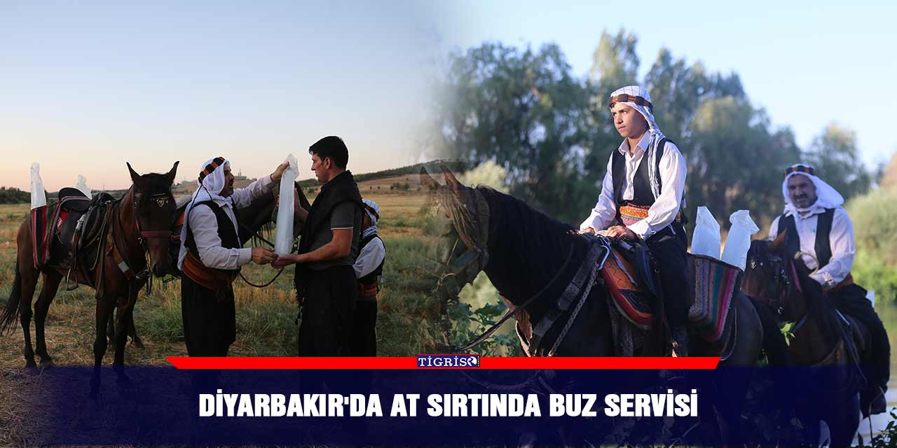 Diyarbakır'da at sırtında buz servisi