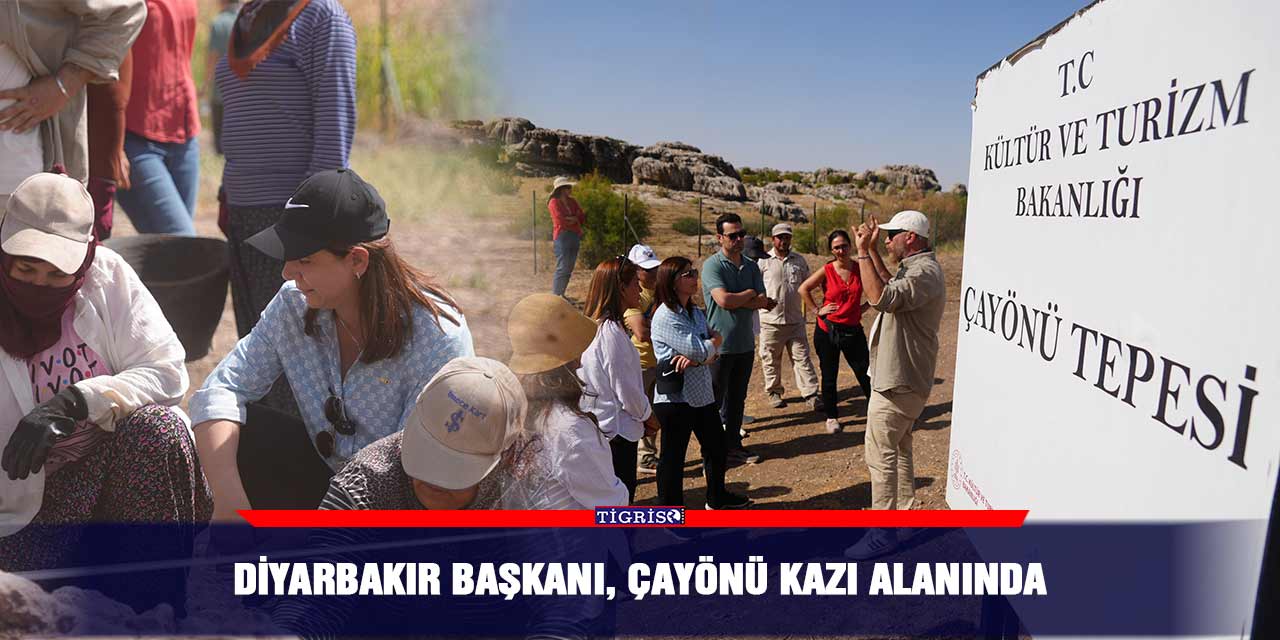 Diyarbakır başkanı, Çayönü kazı alanında