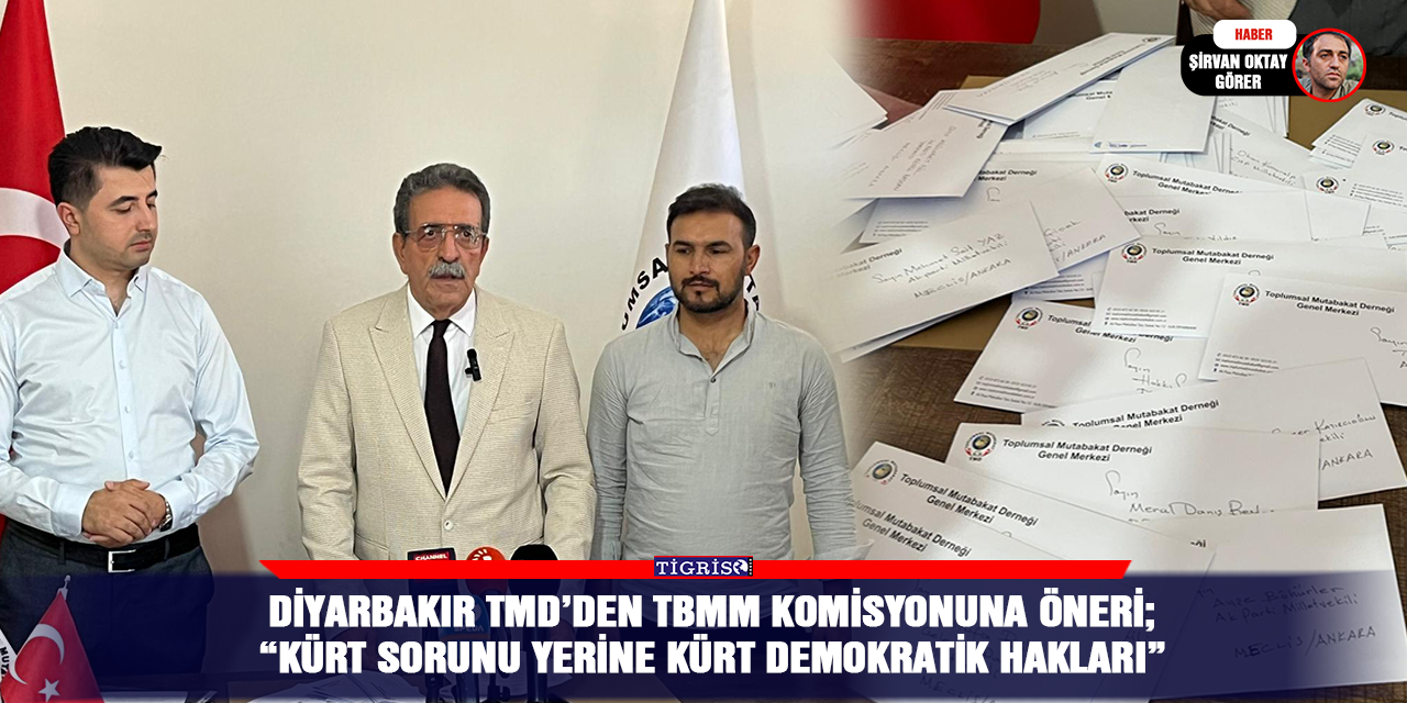 Diyarbakır TMD’den TBMM komisyonuna öneri; “Kürt sorunu yerine Kürt demokratik hakları”