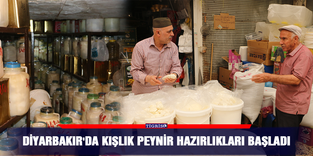Diyarbakır'da kışlık peynir hazırlıkları başladı