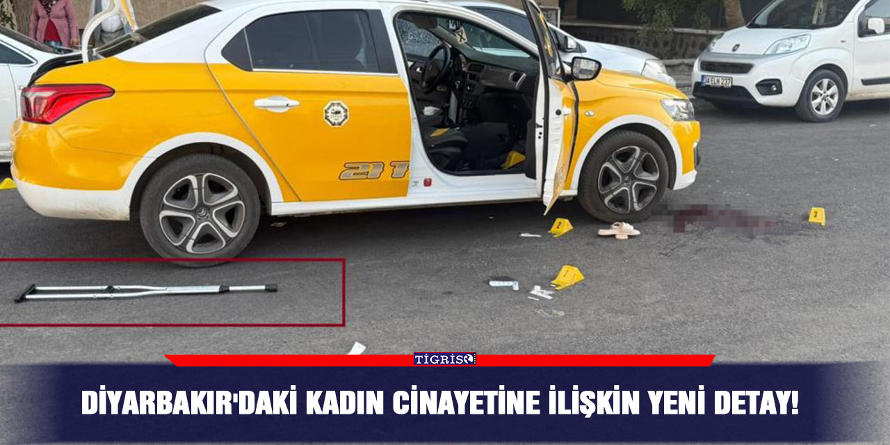 Diyarbakır'daki kadın cinayetine ilişkin yeni detay!