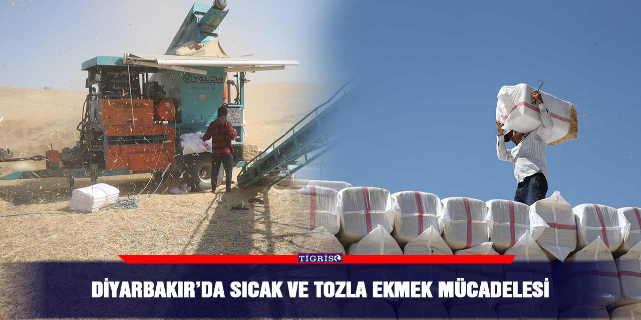 Diyarbakır’da sıcak ve tozla ekmek mücadelesi