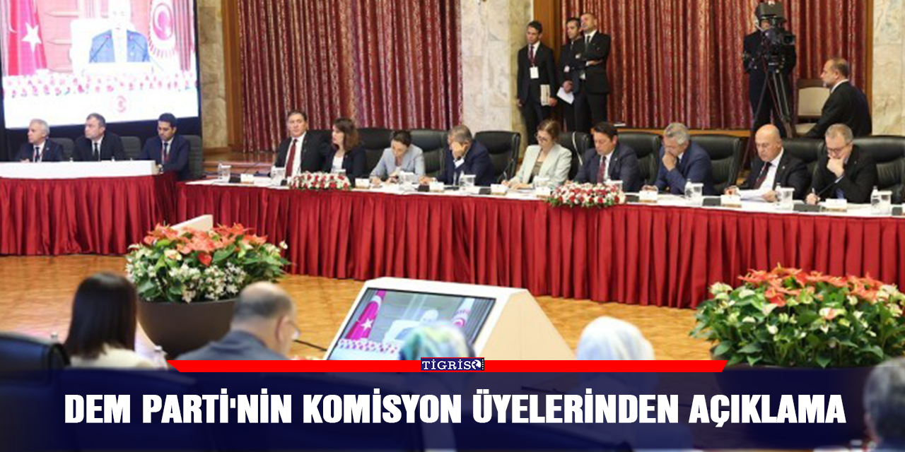 DEM Parti'nin komisyon üyelerinden açıklama
