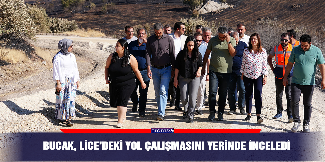 Bucak, Lice’deki yol çalışmasını yerinde inceledi