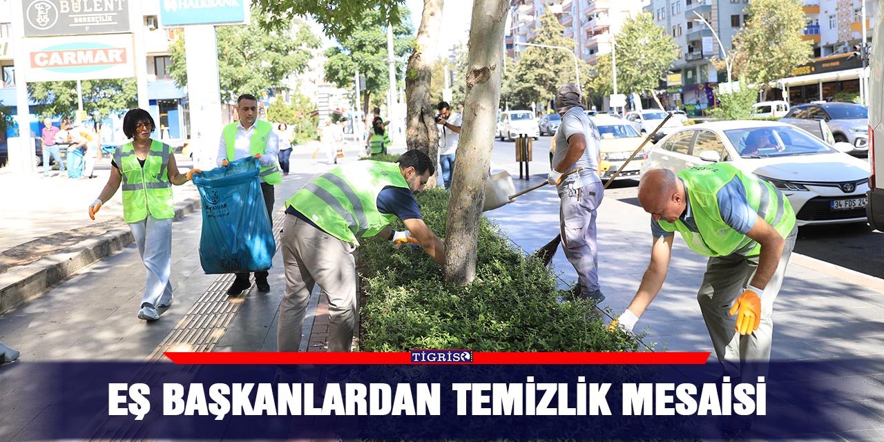 Eş Başkanlardan temizlik mesaisi
