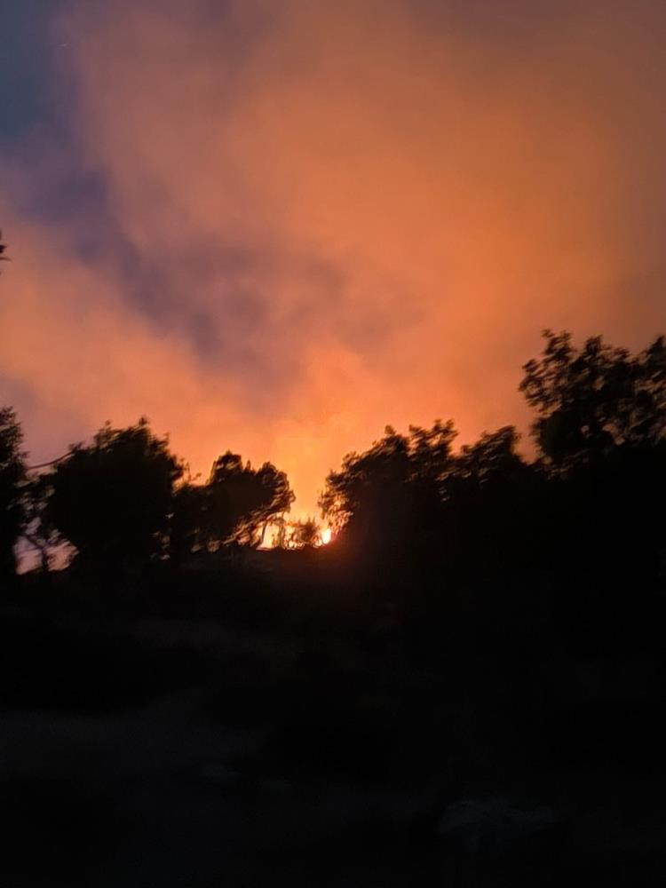 VİDEO - Diyarbakır’da ormanlık alanda çıkan yangın söndürüldü