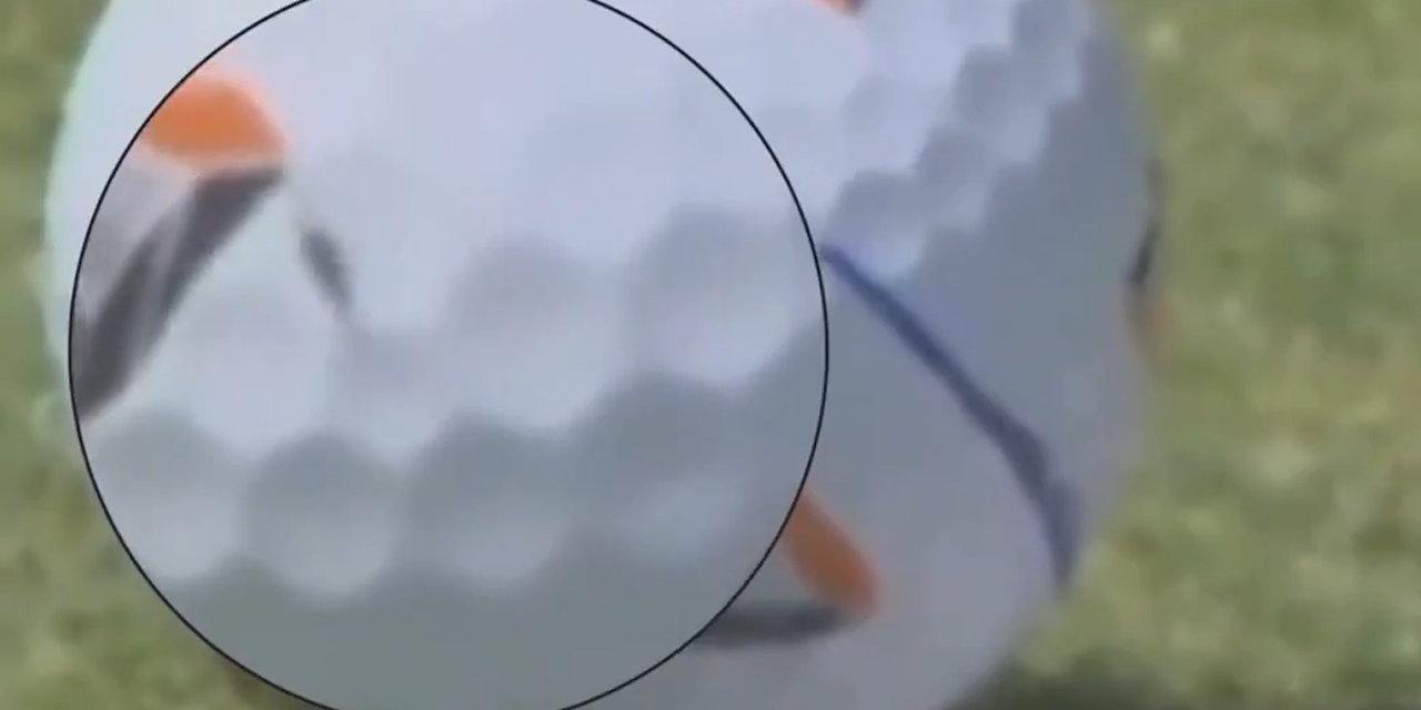 Bir sinek 900 bin dolar kazandırdı