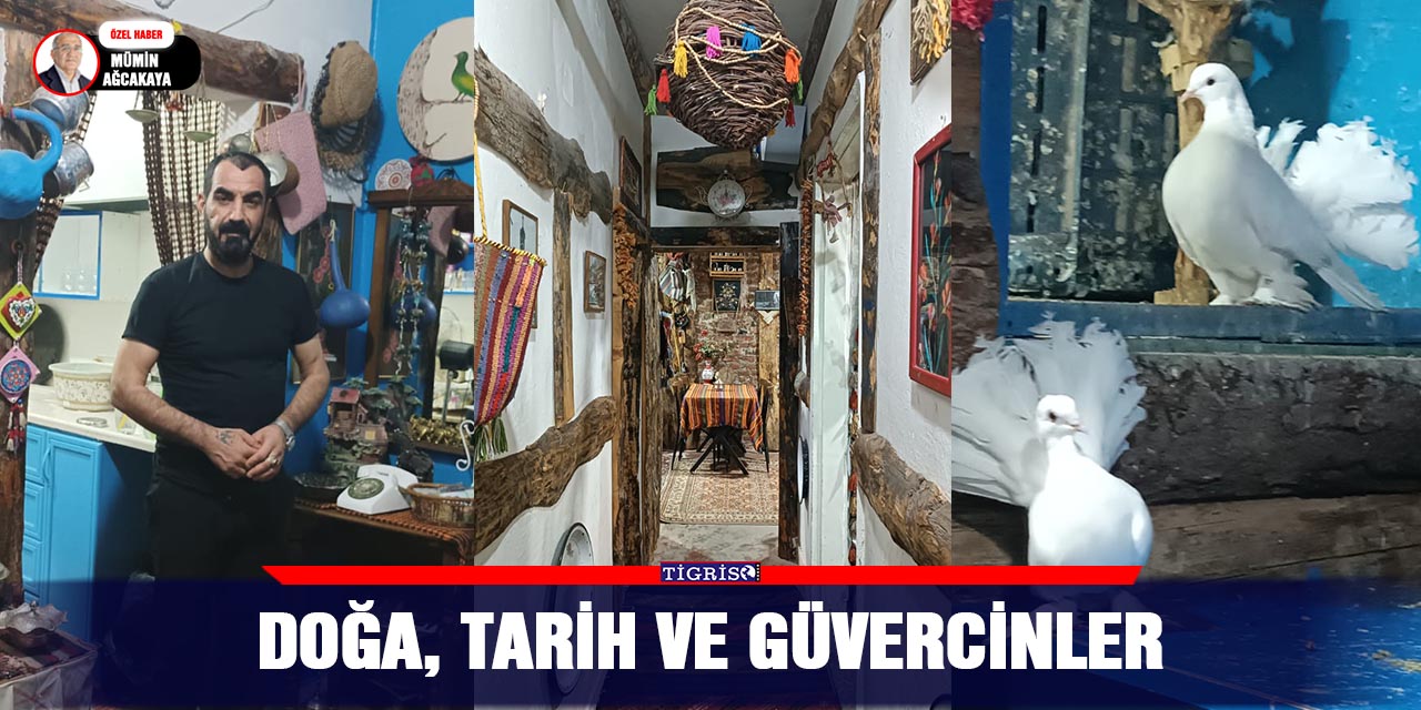 VİDEO - Doğa, Tarih ve Güvercinler