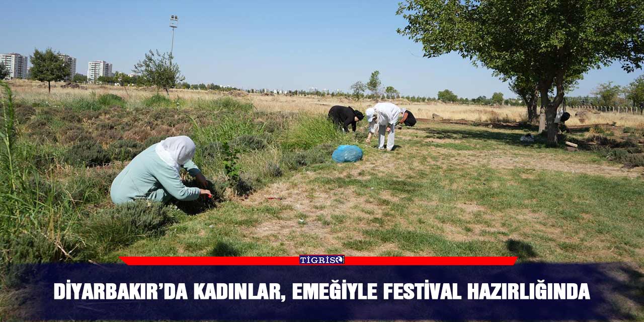 Diyarbakır’da kadınlar, emeğiyle festival hazırlığında