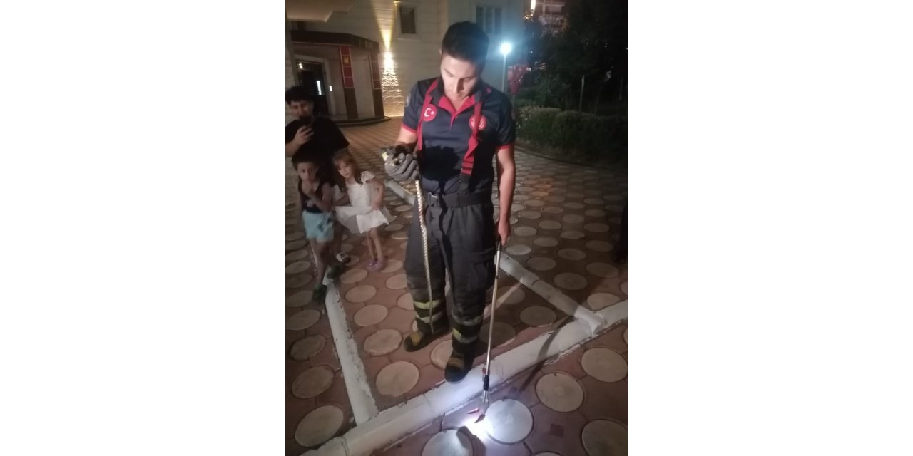 Sitenin bahçesinde yılan paniği