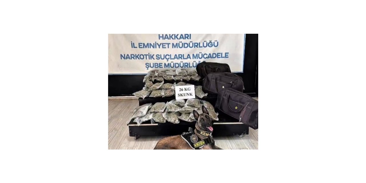 Kamyonette ev eşyaları arasından 26 kilo skunk çıktı