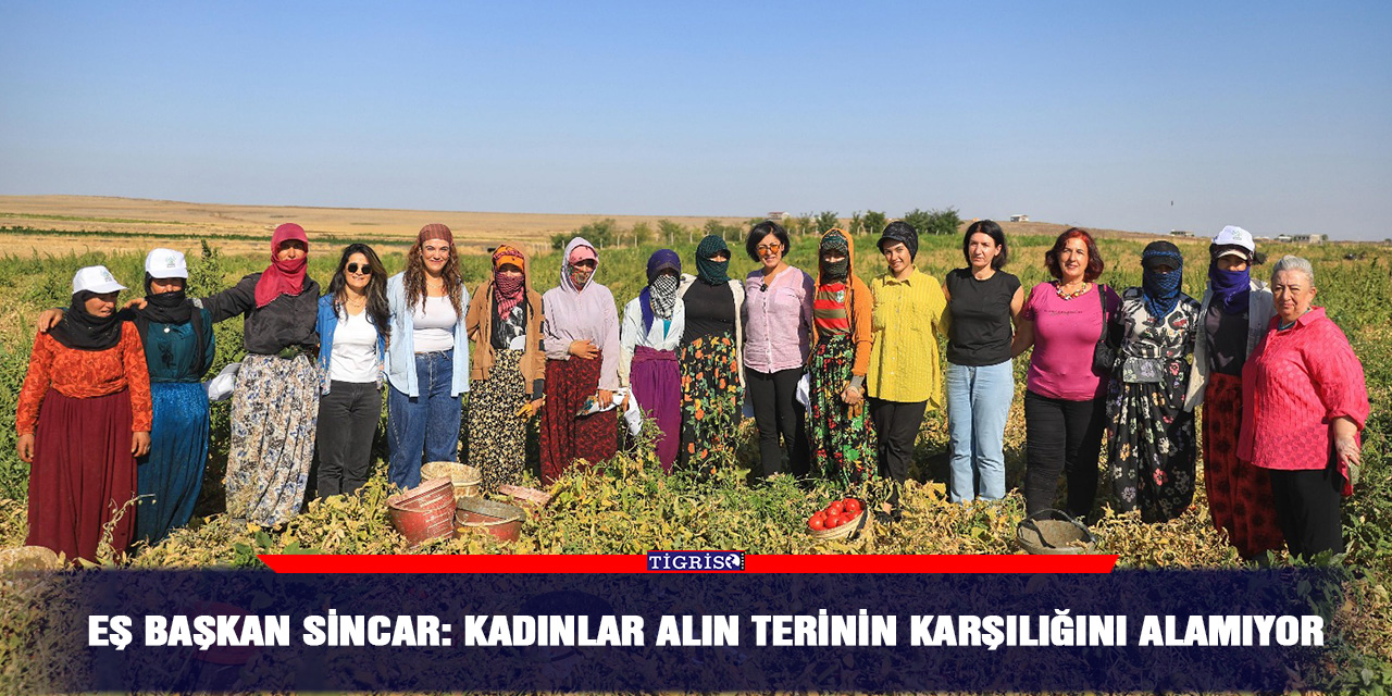 Eş Başkan Sincar: Kadınlar alın terinin karşılığını alamıyor