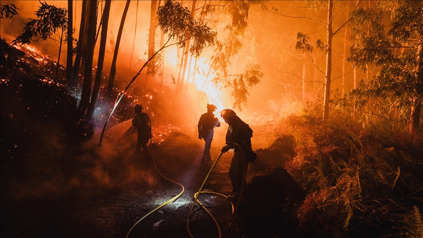 AB ülkelerindeki orman yangınlarında kayıp bir milyon hektarı aştı