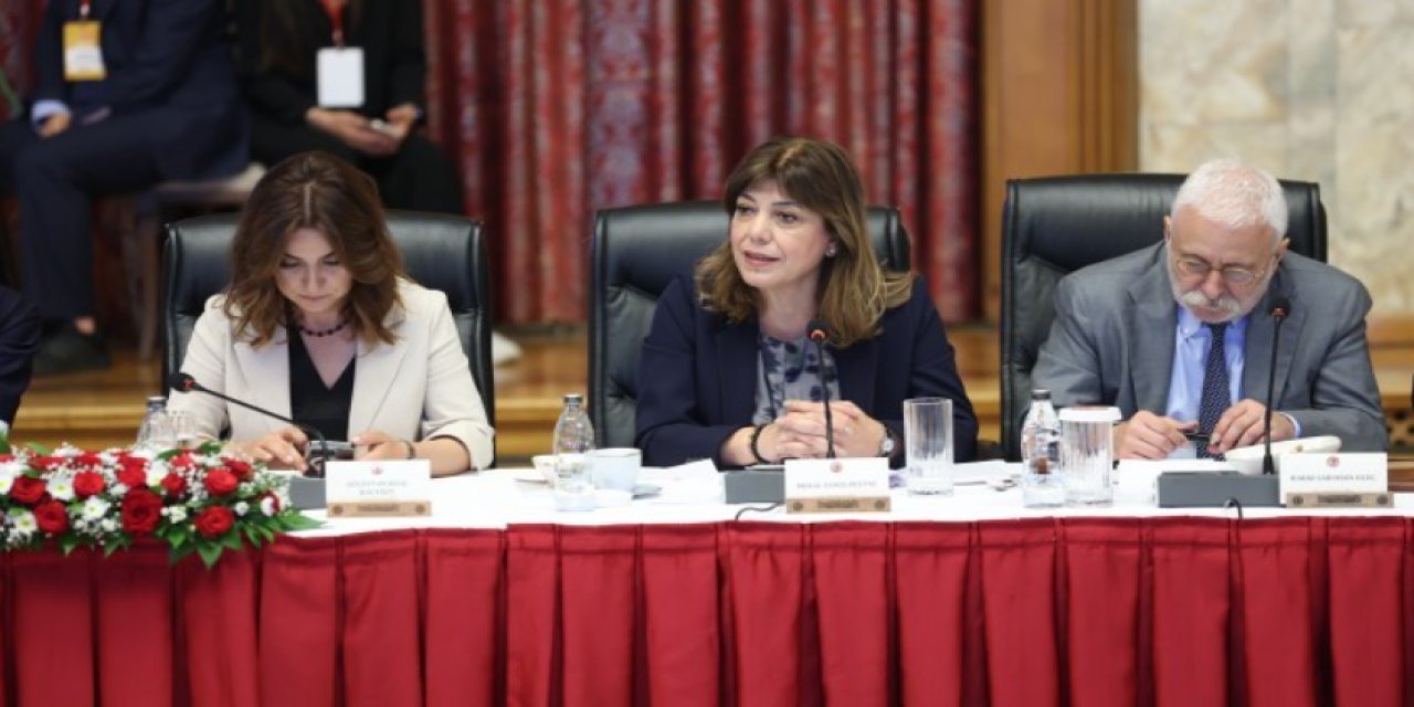 DEM Parti'den komisyona anadil ve Kürtçe çağrısı