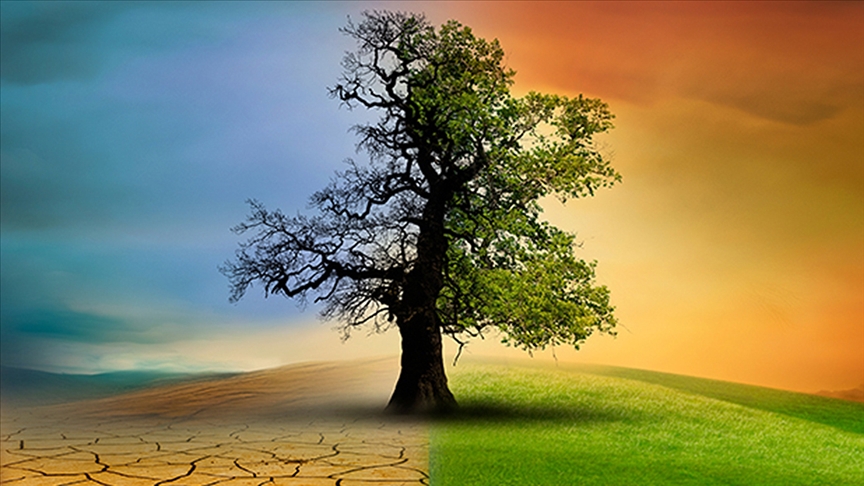 İklim değişikliği orman yangınlarına zemin hazırlıyor