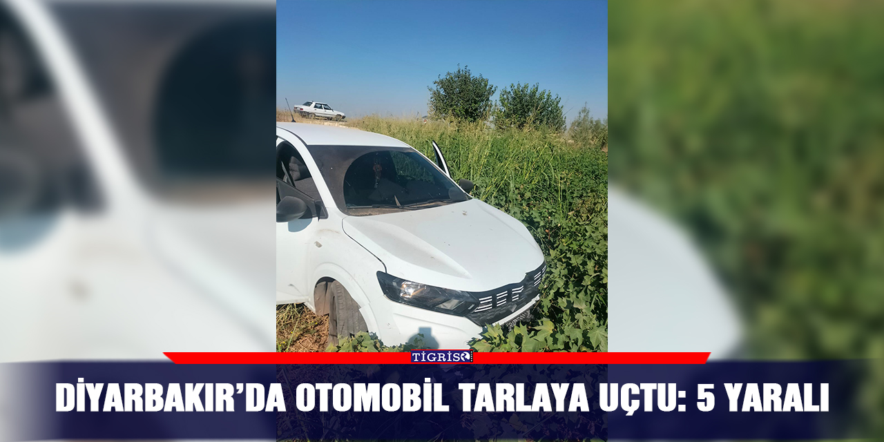 Diyarbakır’da otomobil tarlaya uçtu: 5 yaralı