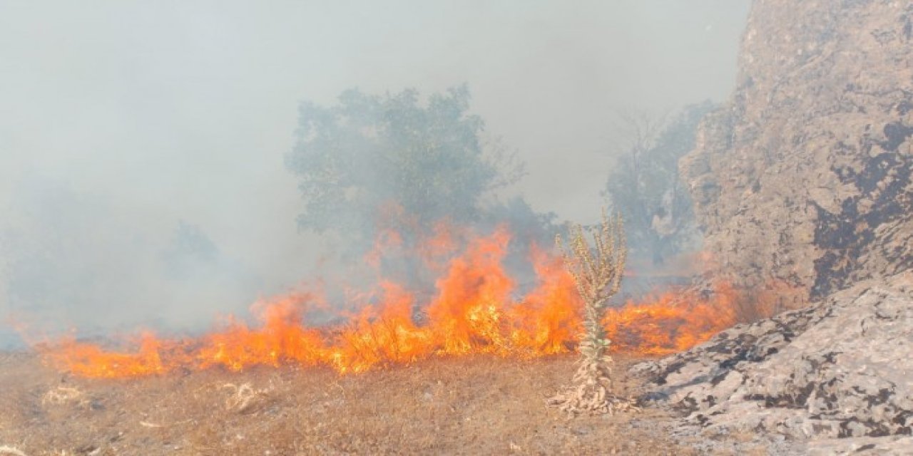 Lice'de imha edilen esrar orman yangını başlattı