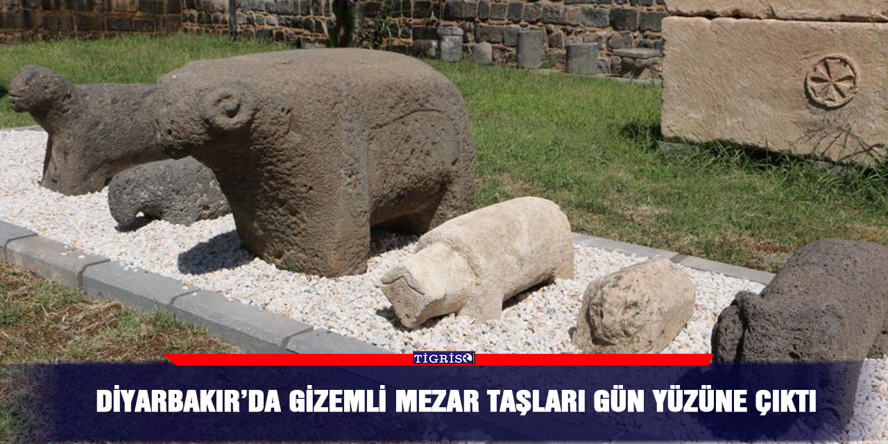 VİDEO - Diyarbakır’da gizemli mezar taşları gün yüzüne çıktı