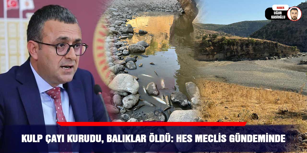 Kulp Çayı kurudu, balıklar öldü: HES meclis gündeminde