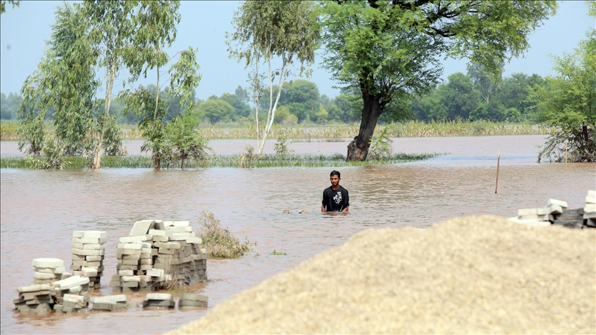 Pakistan'da seller 41 can aldı