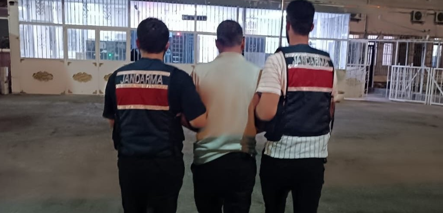 DEAŞ üyesi jandarma operasyonuyla yakalandı