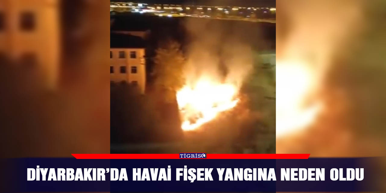 Diyarbakır’da havai fişek yangına neden oldu