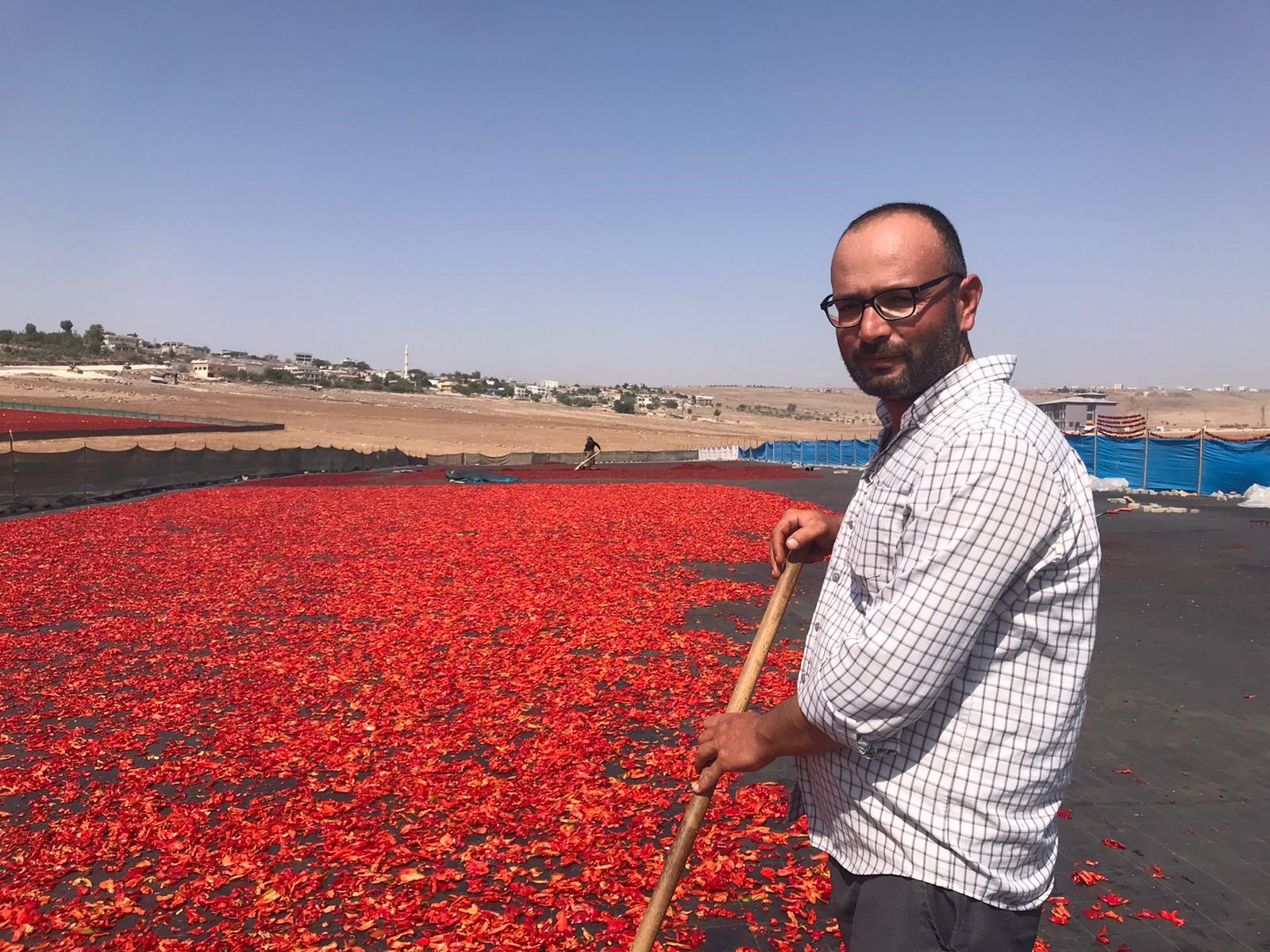 Şanlıurfa’da isot mesaisi başladı