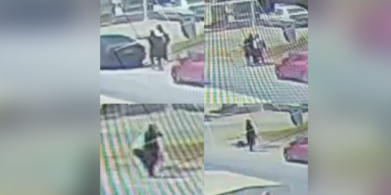 Kadın cinayeti: Zanlı taburcu oldu, tutuklandı