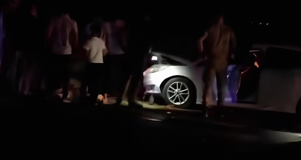 Otomobil sürüye çarptı: 8 koyun telef oldu