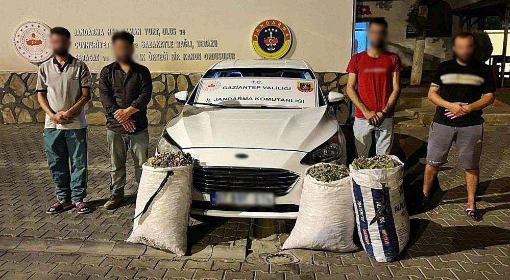 Gaziantep’te 24 şahıs yakalandı