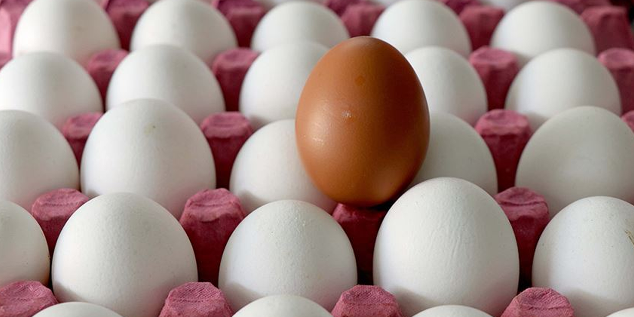 Beslenme çantası artık daha pahalı