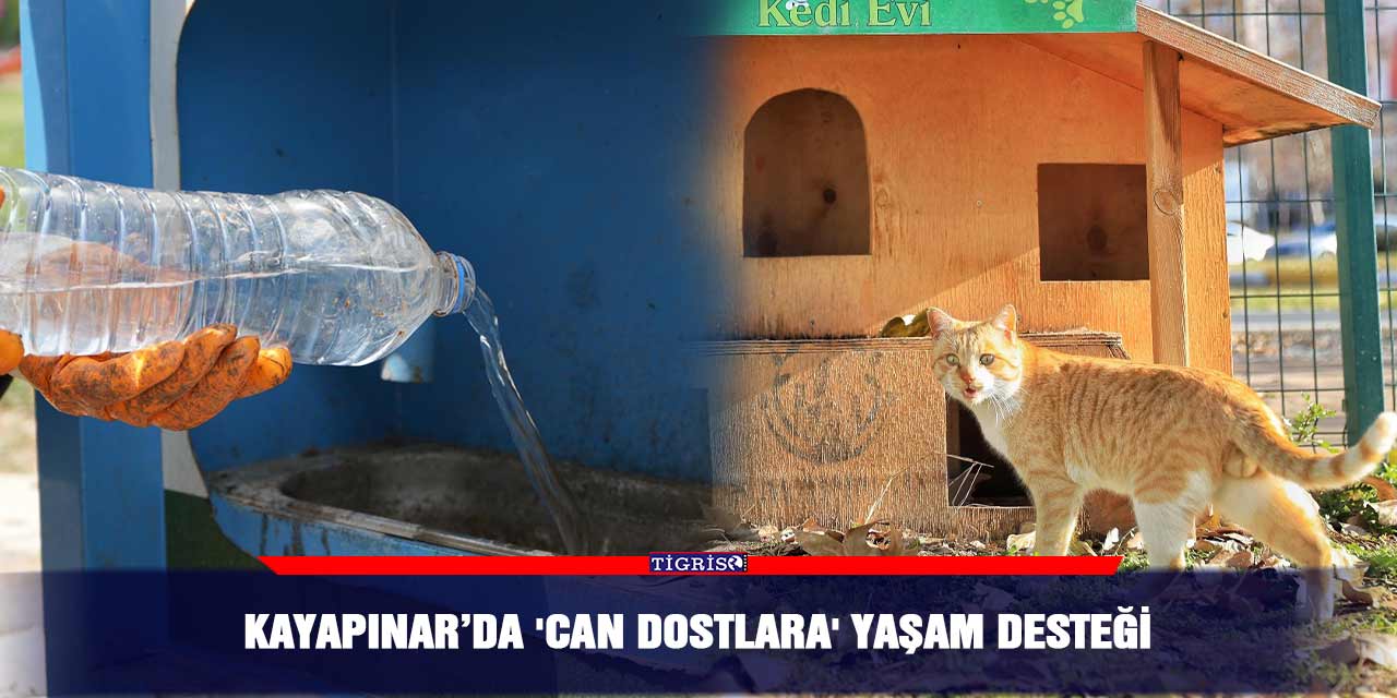 Kayapınar’da 'can dostlara' yaşam desteği