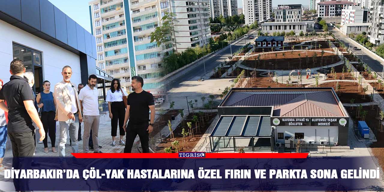 Diyarbakır’da çöl-yak hastalarına özel fırın ve parkta sona gelindi