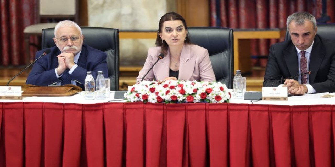 DEM Partili Koçyiğit: "Süreç zehirleniyor"