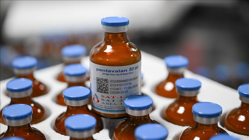 Şap hastalığı için 15 milyon doz aşı sahaya sevk edilecek