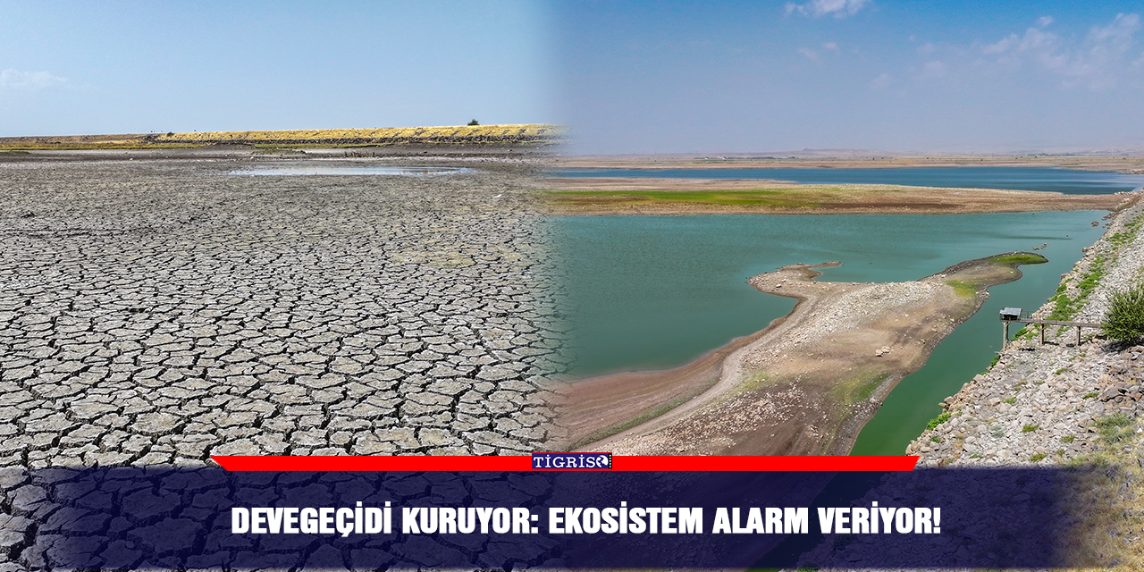 Devegeçidi kuruyor: Ekosistem alarm veriyor!