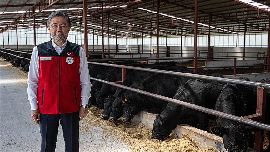 Bakan Yumaklı: Büyükbaş ve küçükbaş hayvan sayısında artış yaşandı